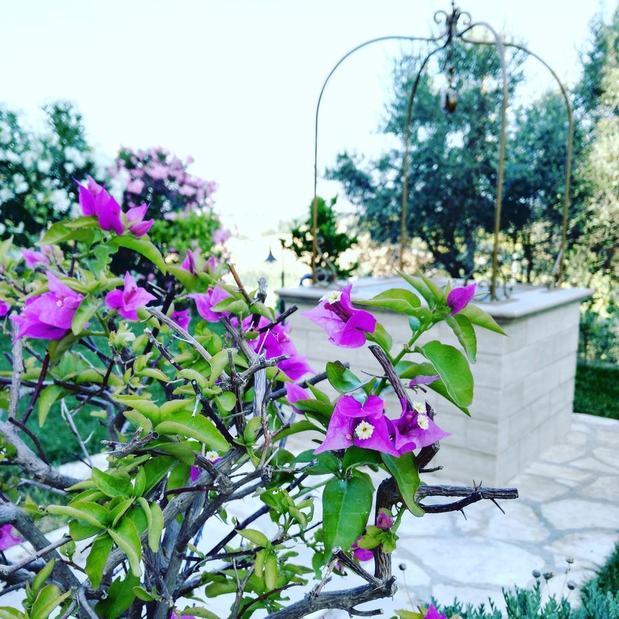 B&B Le Dive Ostra Экстерьер фото